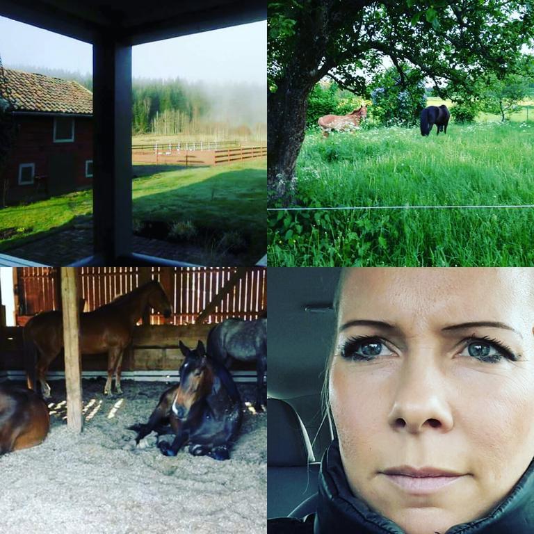 Kisa Bjaerkeryd Soedergard Bed & Stable 빌라 외부 사진